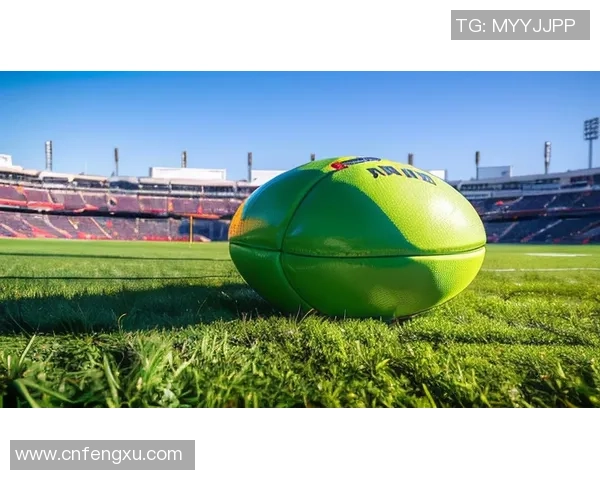 《足球巨星传记：走进绿茵场背后的辉煌与荣耀》