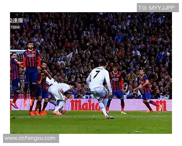 球星卡虎纹足球收藏魅力与独特价值探秘